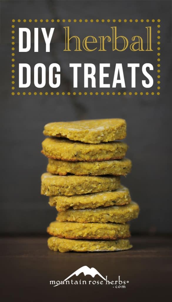 DIY Herbal Dog Treats