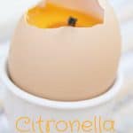 Not only are these DIY Citronella Candles perfect to keep the insects away, but they are also adorable! Click to get the complete candle recipe and tutorial! #candles #diy #essentialoils #homemade #natural #nontoxic