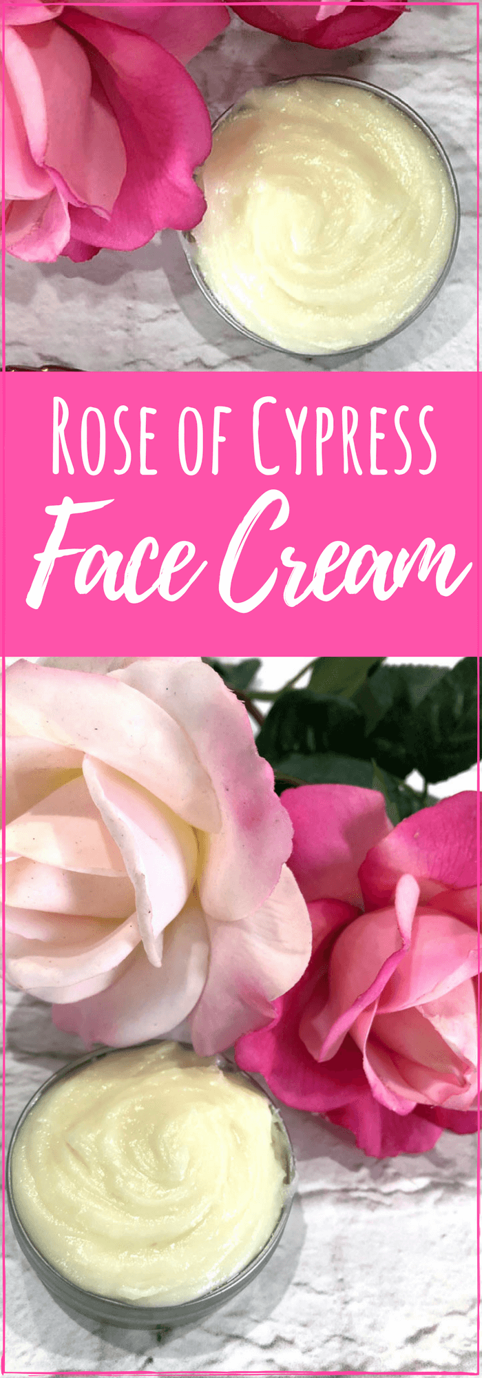 Anti-aging face cream in the store is expensive - and often not the best ingredients for you. This DIY Rose of Cypress Face Cream will be exactly what your skin needs. #antiaging #antiagingcream #AntiWrinkle #diyskincare #moisturizing&nbsp; #skincare