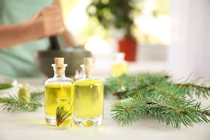 fir needle essential oil for fall diffuser blends