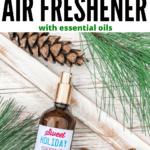 DIY-Cinnamon-Air-Freshener-with-Essential-Oils