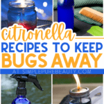 citronella recipes to keep bugs away