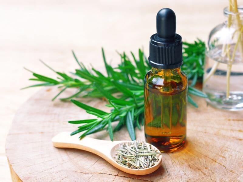 Rosemary CO2 Extract Benefits in Skincare
