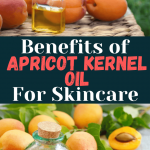 Apricot Kernel Oil Benefits in Skincare
