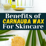 Carnauba Wax Benefits in Skincare