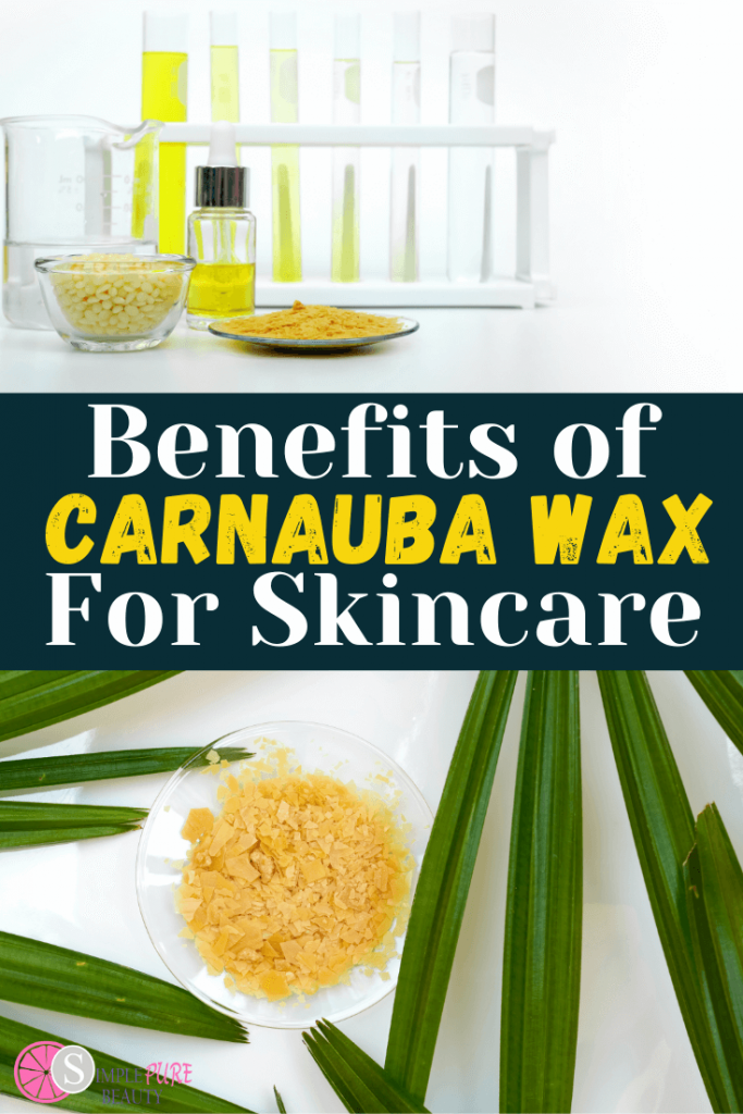 Carnauba Wax Benefits in Skincare