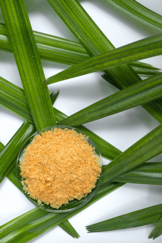 Carnauba Wax Benefits in Skincare