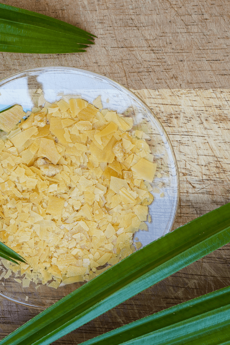 Carnauba Wax Benefits in Skincare