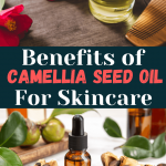 Camellia Seed Oil Benefits for Skin