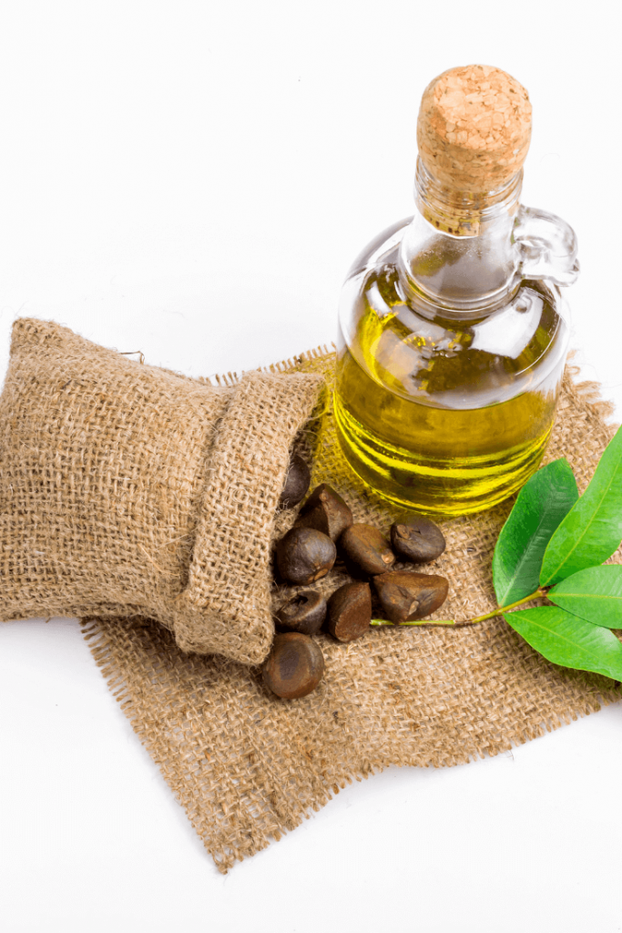 Camellia Seed Oil Benefits for Skin