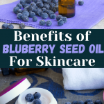 Blueberry Seed Oil Benefits for skin