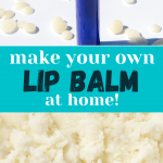 DIY Shea Butter Lip Balm