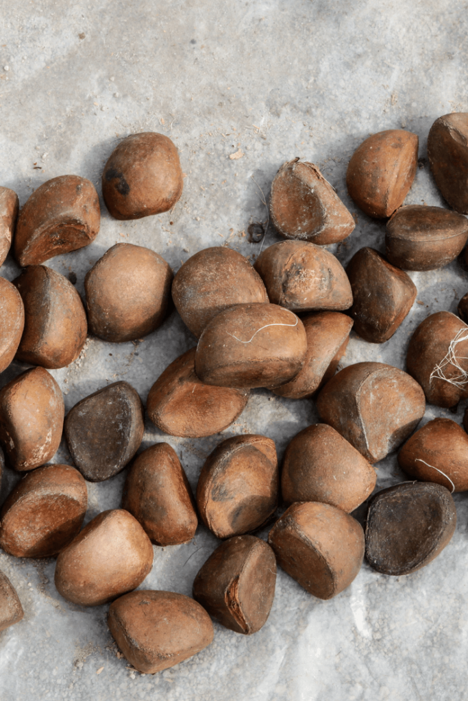 Andiroba Oil Benefits for Skin