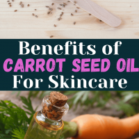 Carrot Seed Oil Benefits for Skin