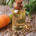 Carrot Seed Oil Benefits for Skin