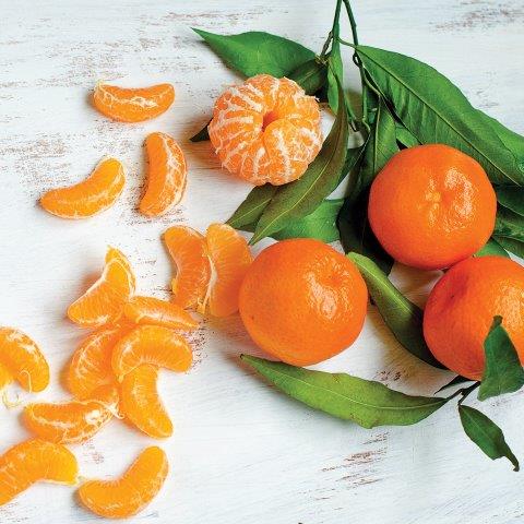 100% NATURAL FRAGRANCE OILS