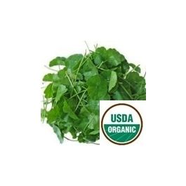 Gotu Kola (oil soluble)